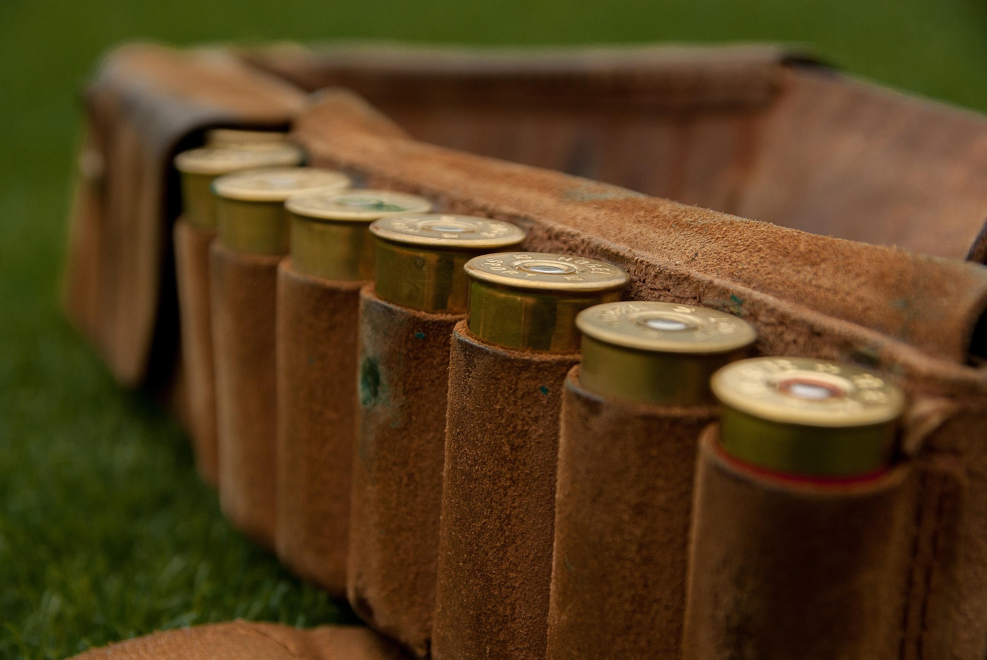Shotgun cartridge belt laid out on grass